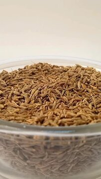 Cumin seeds in a glass bowl isolated rotating on white background in the center frame, close up vertical video