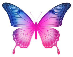 PNG Butterfly silkscreen animal insect purple.