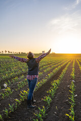Female farmer portrait happy with risen harvest at sunset. High yield on the field 