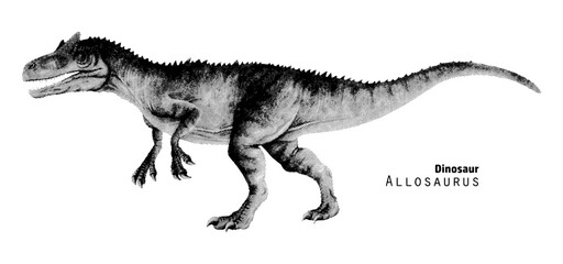 Allosaurus illustration. Dinosaur with open jaws. Ancient animal predator. Pointillism vector illustration. Black and white