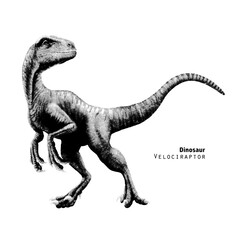 Velociraptor. Pointillism vector illustration. Black and white. Predator dinosaur