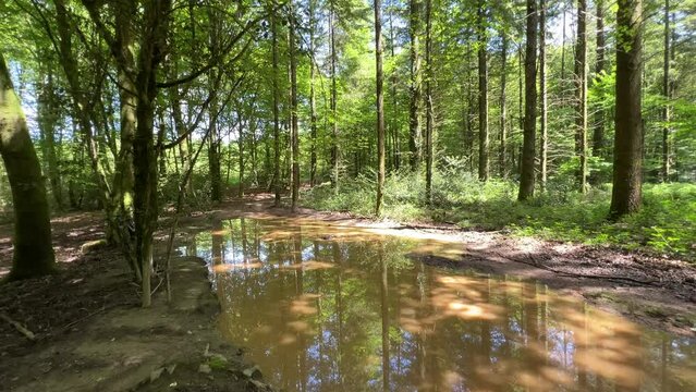 Naturpark in Frankreich Morvan bei Autun