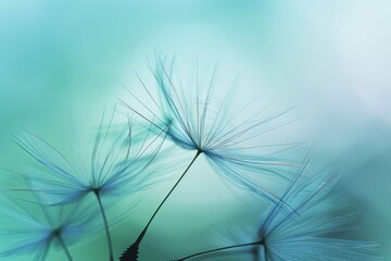 Obraz premium Macro dandelion seed in blue sky, emphasizing delicate texture amidst blurred dispersing seeds
