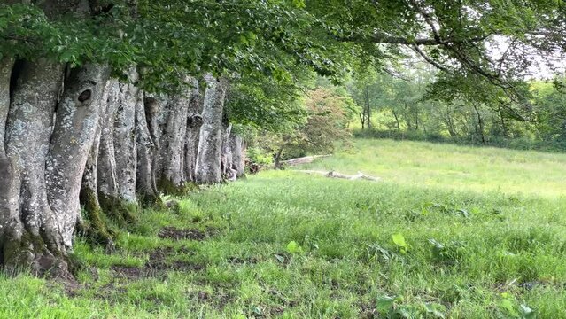 Autun im Naturpark Morvan in Frankreich