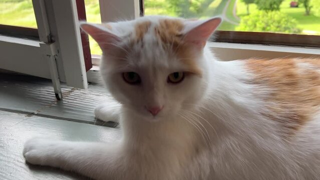 Autun im Naturpark Morvan in Frankreich