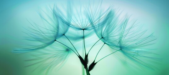 Macro shot of dandelion seed in soft blue sky with blurred seeds, emphasizing delicate texture