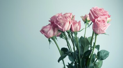 Fototapeta premium Bouquet of pink roses against a white backdrop