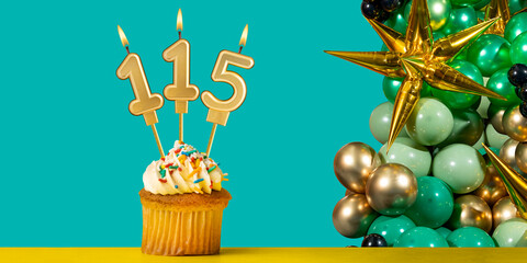 Birthday candle number 115 - Cupcake with decoration on a green background