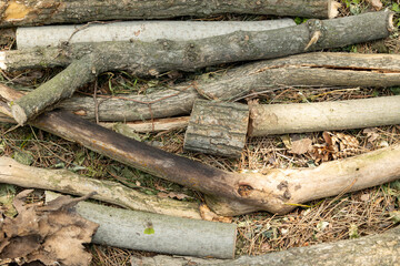 A pile of logs and sticks on the ground