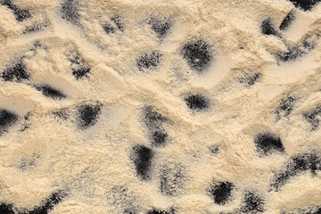 Hydrolyzed collagen powder - Organic gelatin powder