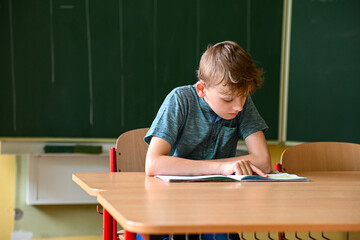 Young student is concentrating on his textbook at his desk in the classroom