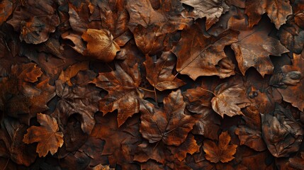 Autumn leaves, rich brown tones, high resolution, layered and detailed, crisp and dry, natural and rustic, seasonal warmth