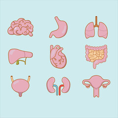 Human organ body icon pack
