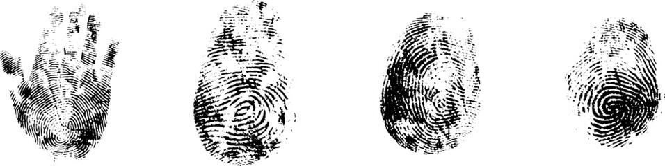 fingerprint or thumbprint set isolated. Set fingerprint scanning icon sign