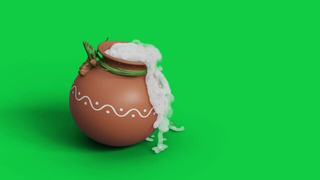 Happy Pongal Festival Greetings Video with green Screen Alpha Channel. Pongal cooking in the traditional way mud pot video