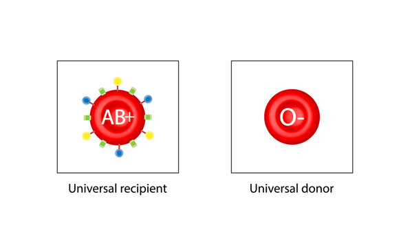  AB positive blood type, universal recipient, O negative, universal donor. Vector illustration.