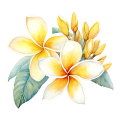 Fototapeta premium Beautiful watercolor illustration of plumeria flowers with green leaves. Ideal for floral-themed designs and nature-related projects.