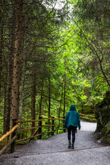 Hiker's Journey: Walking the Path to Krimml Waterfall in Austria