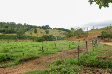 Tabaúna, Distrito de Aimoés no estado de Minas Gerais, Brasil 29 de maio de 2024.