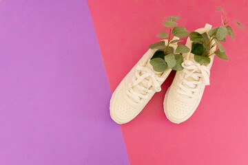 White sneakers with eucalyptus branches against a pink background.