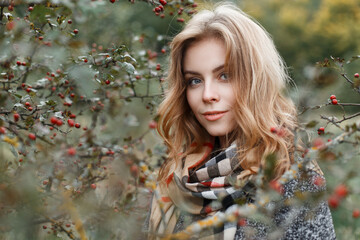 beautiful young girl in a fashion coat with a scarf in bushes with berries walks in the autumn...