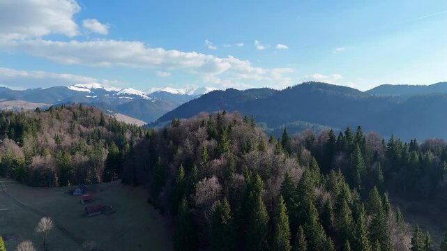 Lush forested hills and the majestic bucegi mountains on a sunny day, aerial view