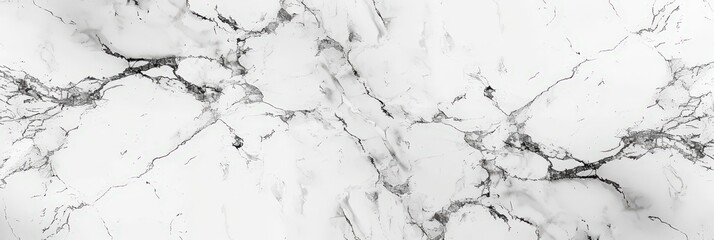 Obraz premium White Marble Texture with Gray Veins