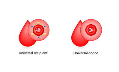 AB positive blood type, universal recipient, O negative, universal donor. Vector illustration.