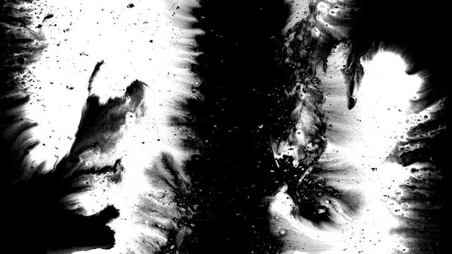 Black ink rorschach effect abstract background artistic flow splatter spots spills white paper beautiful reveal dripping streaks spread fluid ink alpha matte isolated watercolor ink drops transition	
