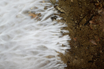 A fragment of white fluffy mold in the basement of a house. Dangerous mold spores for health.