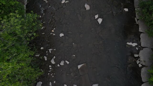 Ravine bridge shot. Nature. Toronto