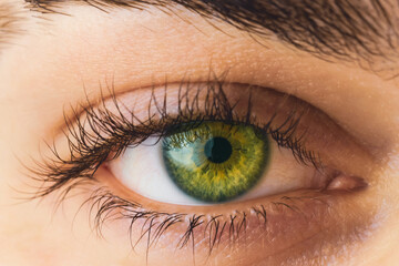 Beautiful green eye close-up. Closeup.