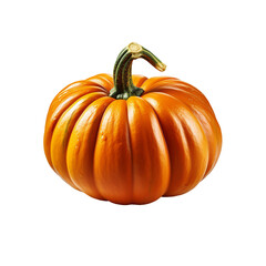 Obraz premium Pumpkin on transparent background