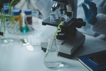 Scientist cutting plant tissue culture in petri dish, performing laboratory experiments. Small...
