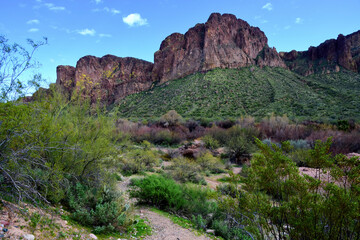 Salt River Recreation Area Arizona