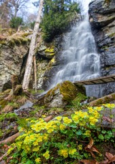 Spring snow melting in the waterfall. National Natural Monument Waterfall of Bystre is located on the southern slopes of Polana, near of Hrinova. © Ivan