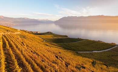 Naklejka premium breathtaking panoramas of the Lavaux vineyards,