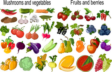 Vector set of vegetables and fruits.Vegetables, mushrooms, berries and fruits in color vector set.