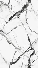 Fototapeta premium Abstract white and grey marble texture with delicate veining and soft tones.