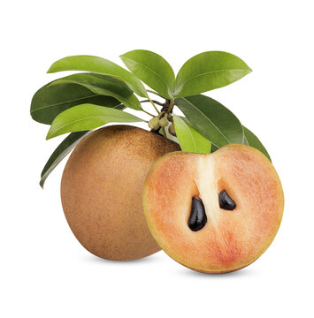 Fresh sapodilla with leaves isolated on transparent background (.PNG)