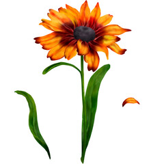 Yellow and red flowers and buds. Rudbekiya. A clipart with a sunflower. Watercolor illustration. A set of bright yellow autumn flowers on a white background. Cute botanical illustrations for printing.