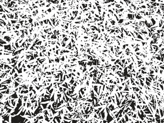 Grunge grass texture background, abstract vector illustration, black and white color