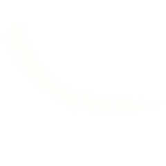 Obraz premium Brush 