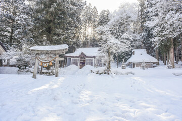 Landscape View Of The Beautiful Historic Villages Of Shirakawa-Go And Gokayama (Gassho Zukuri Folk Village) With Winter Snow, Gifu, Shirakawa, Japan