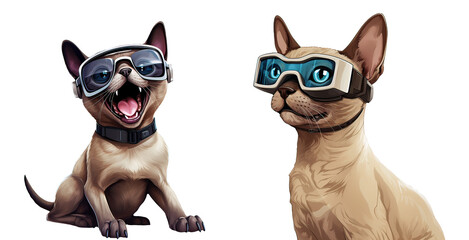 Fototapeta premium Tonkinese cat enjoying a virtual reality isolated on Transparent Background. AI generative