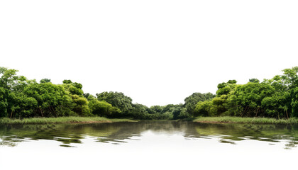 river in the forest isolated on transparent background cutout © Papugrat