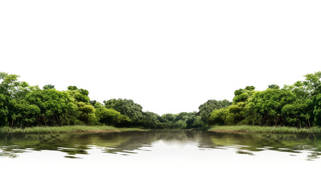 river in the forest isolated on transparent background cutout
