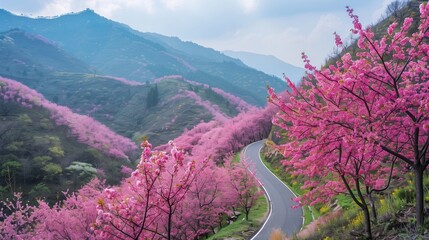 /imagine A stunning view of a winding mountain road lined with blooming cherry blossom trees, their pink petals creating a vibrant contrast against the green mountainside.