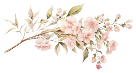 PNG  Flower bouquet blossom plant art