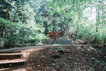 河口浅間神社の山道
